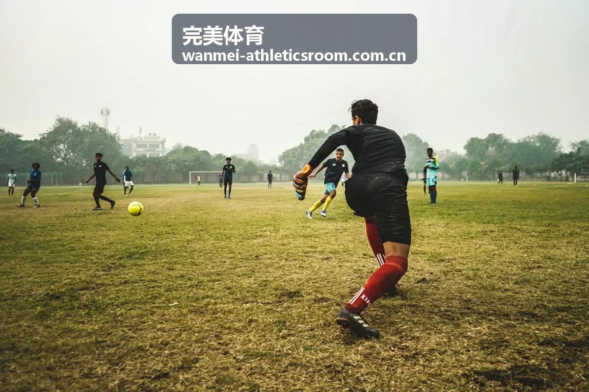 完美体育体育数据分析与比赛现场画面